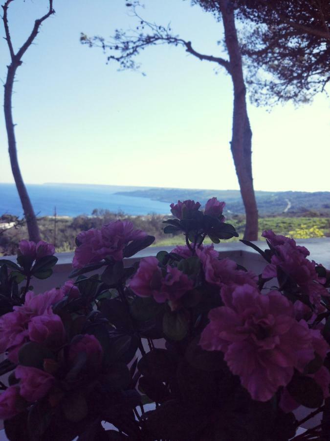 Villa Alda - Bilocali Vista Mare Santa Cesarea Terme Extérieur photo