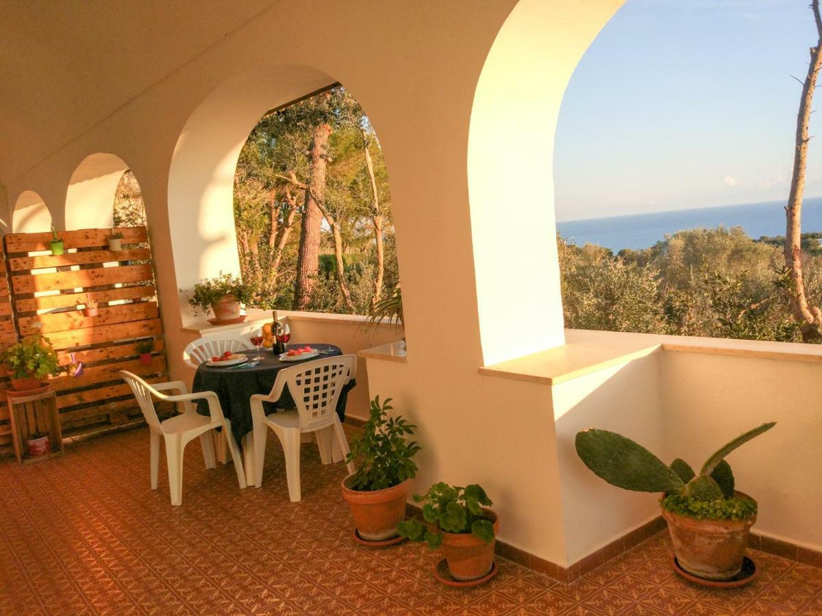 Villa Alda - Bilocali Vista Mare Santa Cesarea Terme Extérieur photo