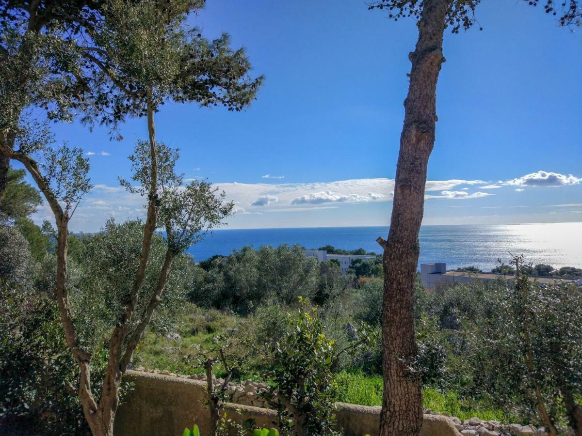 Villa Alda - Bilocali Vista Mare Santa Cesarea Terme Extérieur photo
